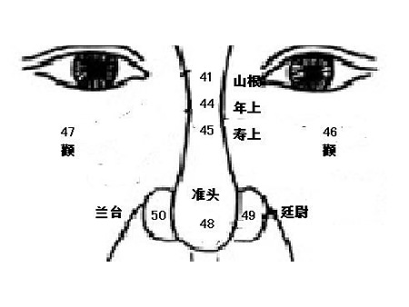 麦玲玲面相