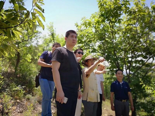 高端风水师培训